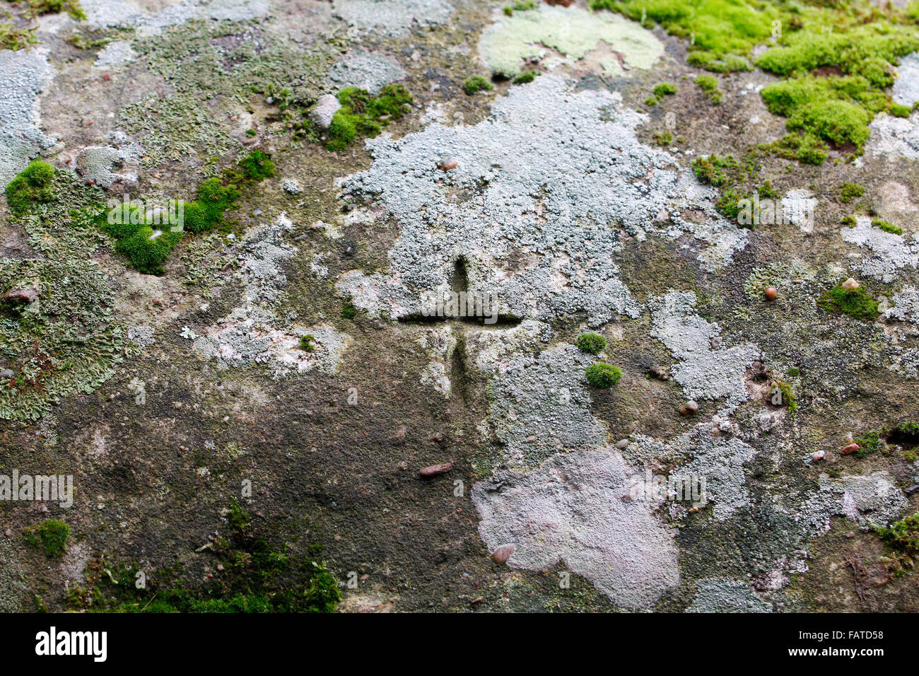 Überqueren Sie geschnitzt in Felsen mit Moos Stockfoto