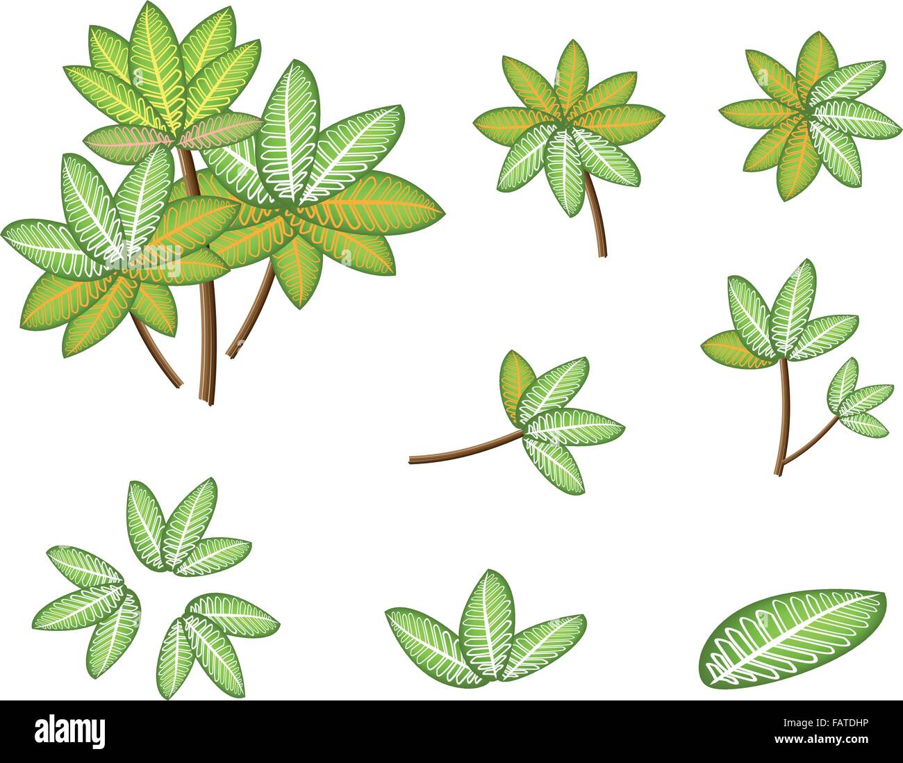 Ökologisches Konzept, eine Illustration Sammlung von schönen Landschaftsgestaltung Baum Symbole und isometrische Baumkronen oder Pflanzen Dieffen Stock Vektor