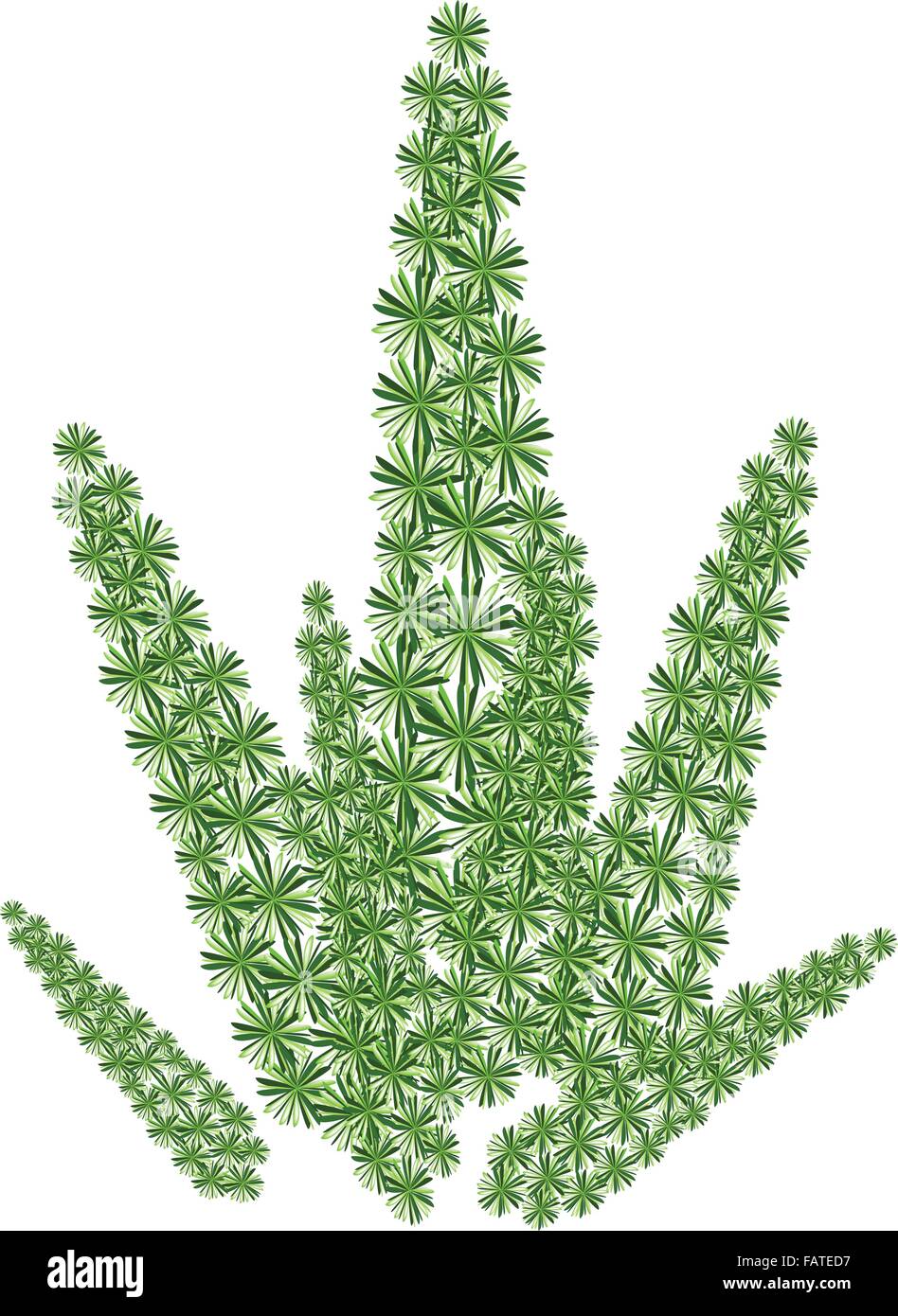gummibaum im winter draußen SPECIAL OFFER Großer Gummibaum, 100cm – Green Me Up main image 1