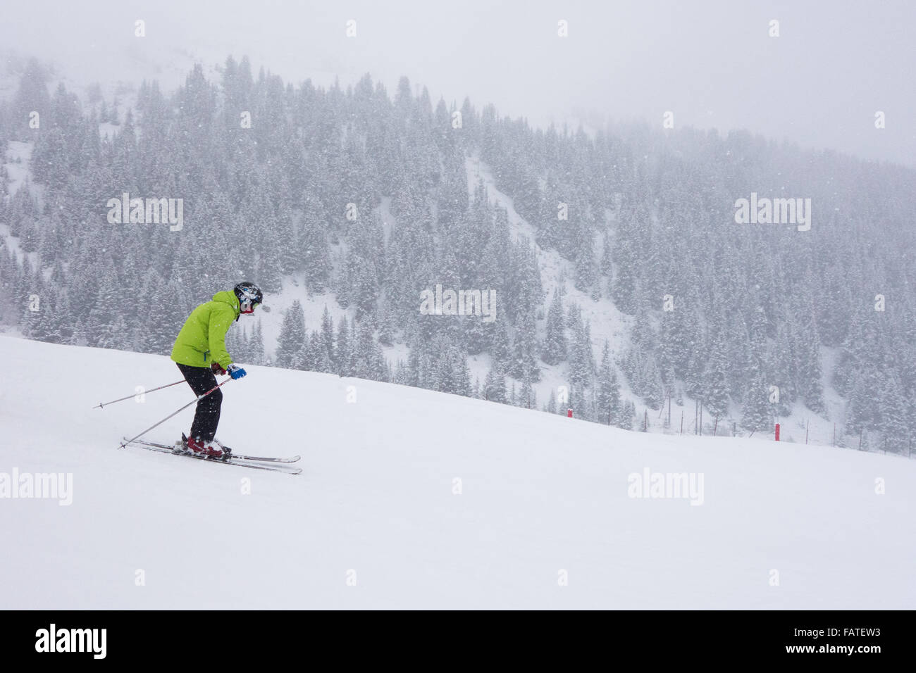 junge männliche Skifahrer in leuchtend grüne Jacke in den Weltraum Hintergrund einheitliche subtile Baum in fallenden Schnee Skifahren mit Textfreiraum Stockfoto