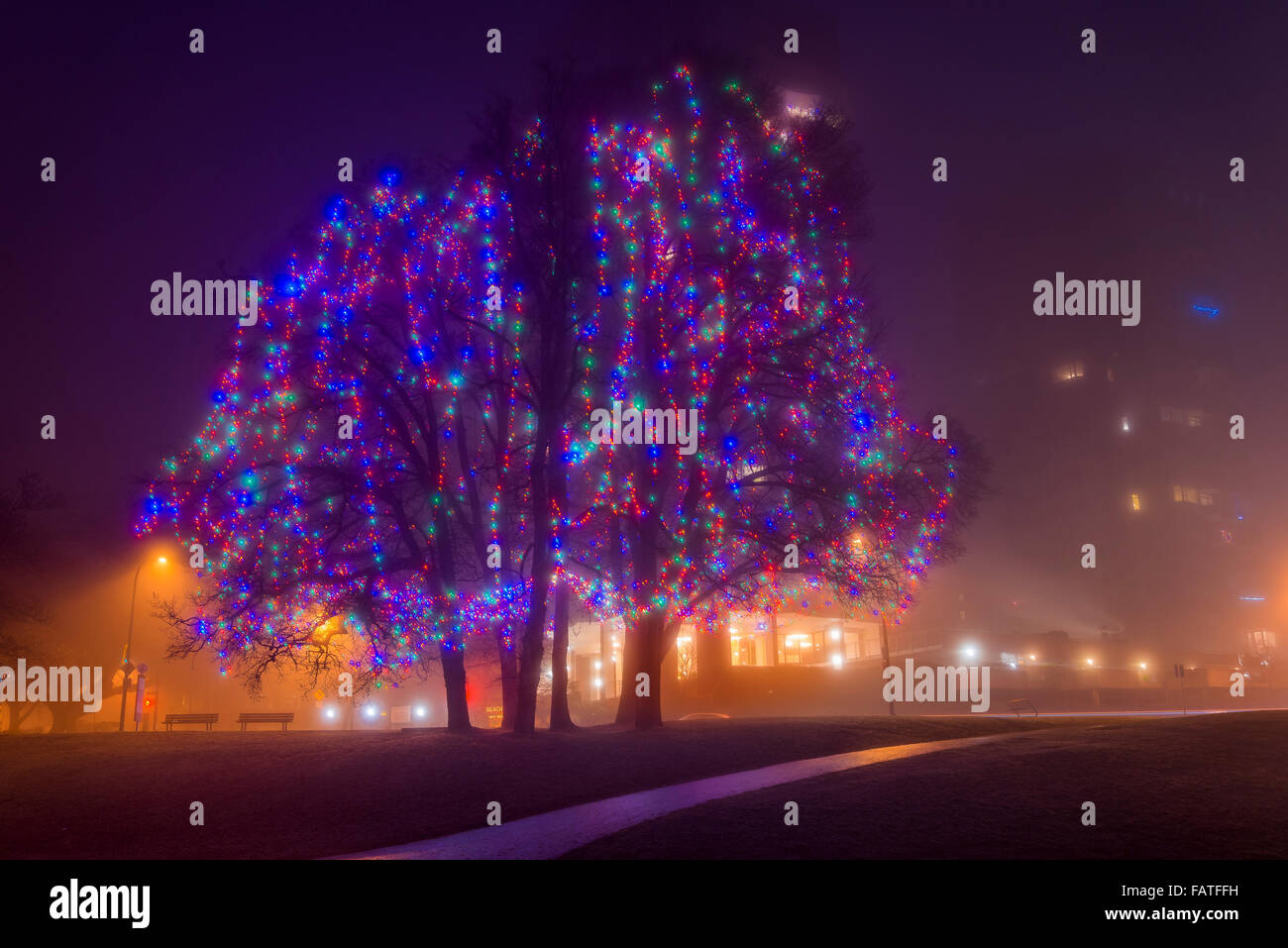 Weihnachtsbeleuchtung am Elm Grove, English Bay, Vancouver, Britisch-Kolumbien, Kanada Stockfoto