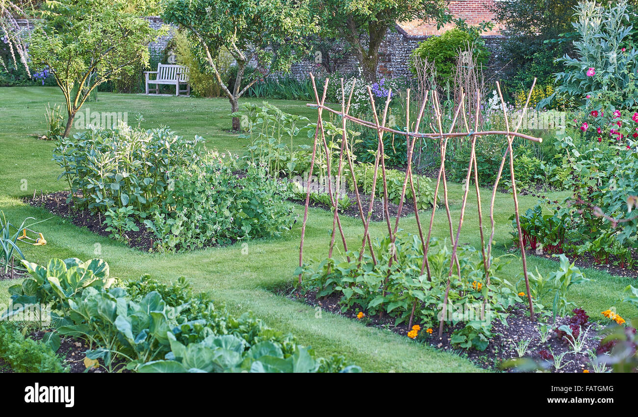 Bio Gemüse Cottage-Garten im Sommer Stockfoto