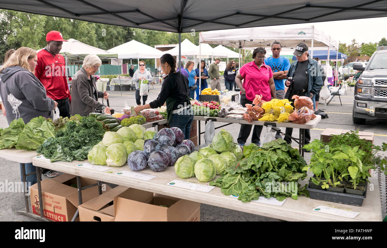Anchorage Bauernmarkt, Shopper Inspektion Gemüse. Stockfoto