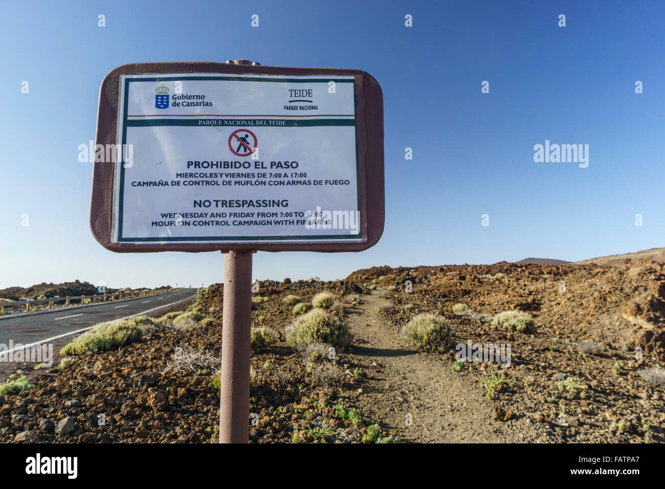 Teneriffa, Kanarische Inseln - der Teide-Nationalpark. Schild Warnung vor Keulung Wildschafe Mufflons von schützen. Stockfoto