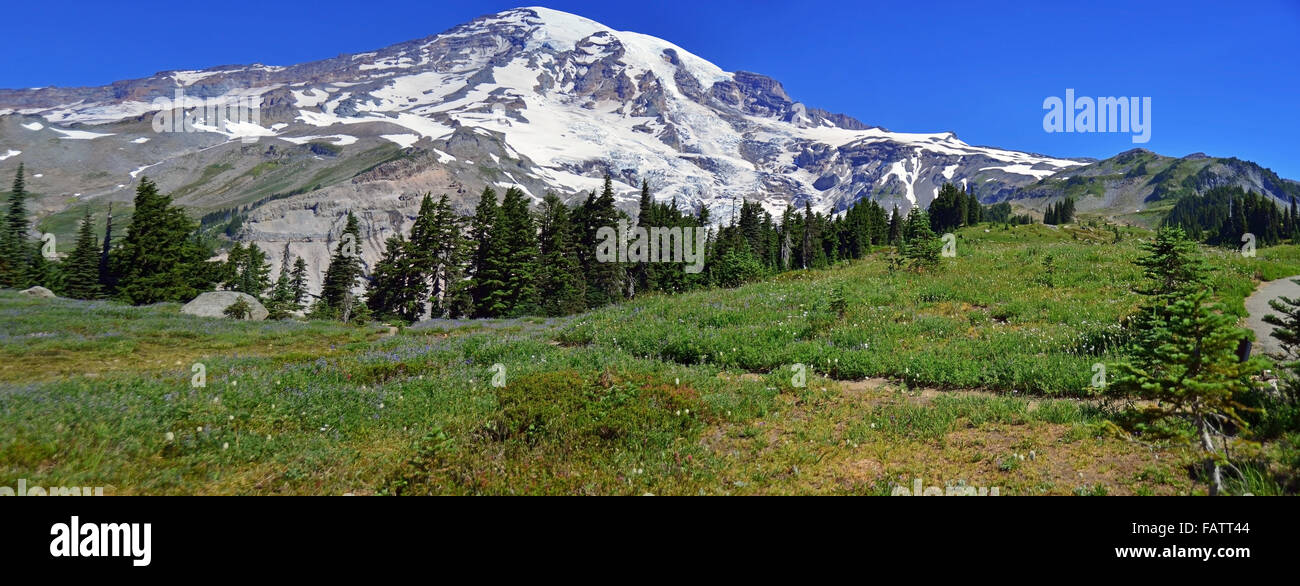 Der Gipfel des Berges, Mt Rainer Park Schneekappe Stockfoto