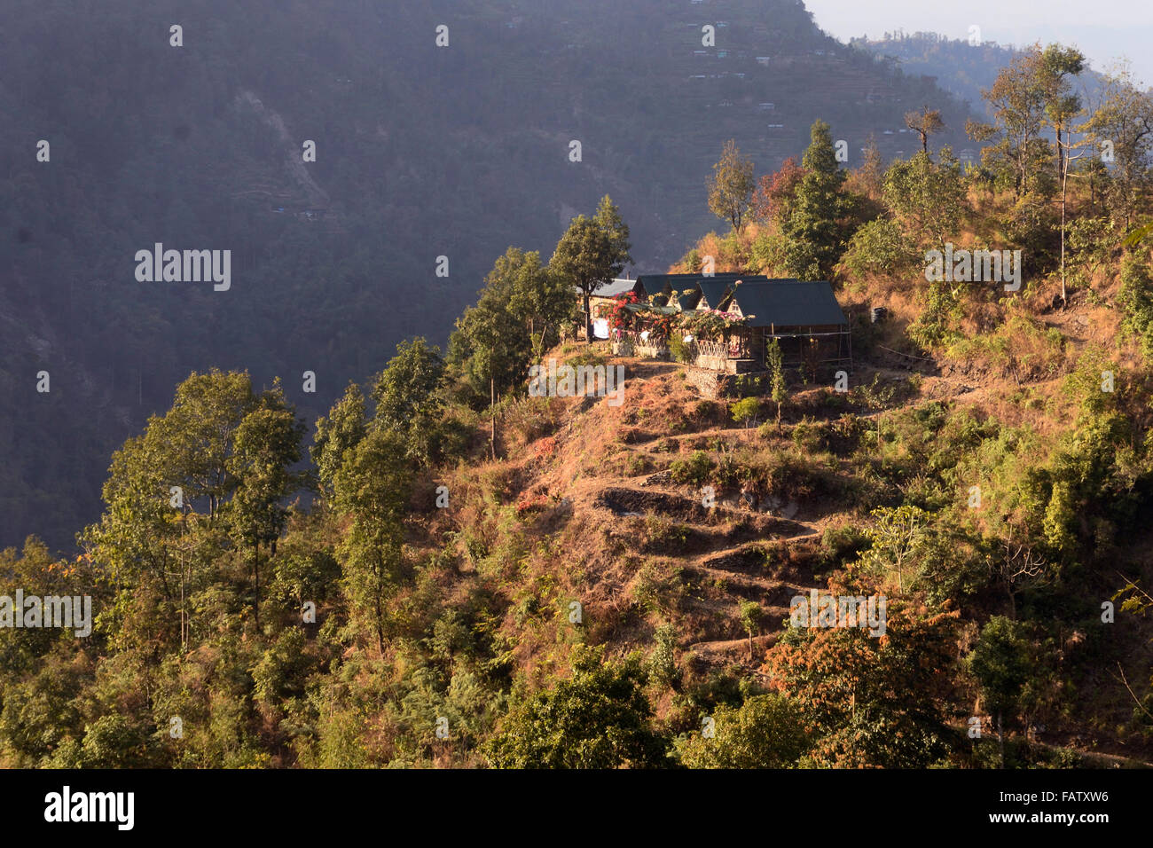 Darjeeling, Indien. 5. Januar 2016. Lava ist eine kleine Stadt 34 km östlich von Kalimpong in Darjeeling Bezirk. Lava befindet sich in 7016 Füße (2138 m), es ist der Einstiegspunkt Neora Valley National Park. Der Weg zum Lava ist landschaftlich reizvoll mit dem Wandel der Vegetation von tropischen Laub um die nassen alpine Bäume Tanne, Kiefer und Birke. Ein buddhistisches Kloster ist auf einem der Hügel von Lava. Bemerkenswerte Sehenswürdigkeiten gehören Changey Wasserfälle und Lava Jamgyong Kongtrül Kloster Credit: Saikat Paul/Pacific Press/Alamy Live News Stockfoto