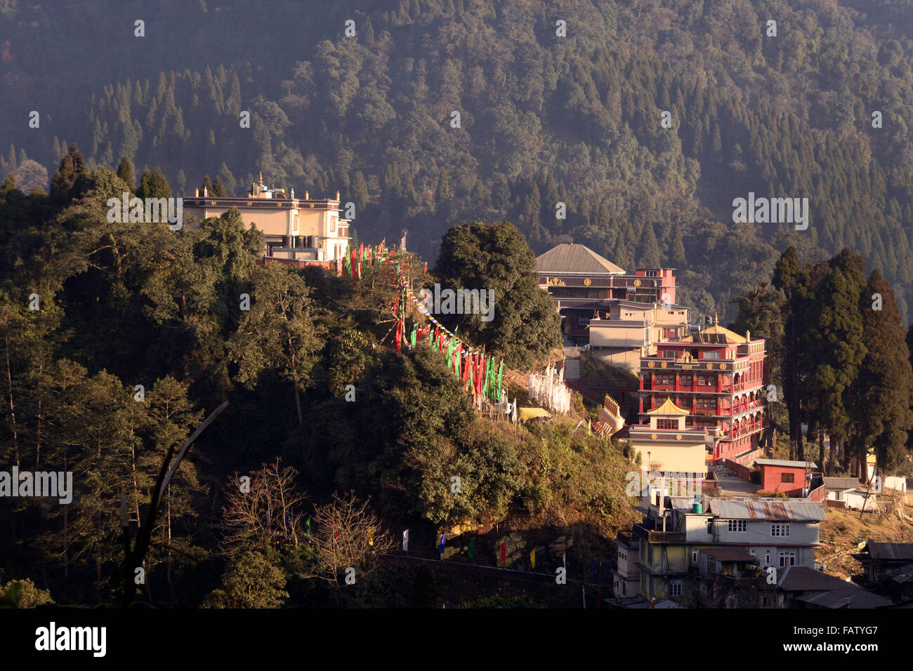 Darjeeling, Indien. 5. Januar 2016. Lava ist eine kleine Stadt 34 km östlich von Kalimpong in Darjeeling Bezirk. Lava befindet sich in 7016 Füße (2138 m), es ist der Einstiegspunkt Neora Valley National Park. Der Weg zum Lava ist landschaftlich reizvoll mit dem Wandel der Vegetation von tropischen Laub um die nassen alpine Bäume Tanne, Kiefer und Birke. Ein buddhistisches Kloster ist auf einem der Hügel von Lava. Bemerkenswerte Sehenswürdigkeiten gehören Changey Wasserfälle und Lava Jamgyong Kongtrül Kloster Credit: Saikat Paul/Pacific Press/Alamy Live News Stockfoto