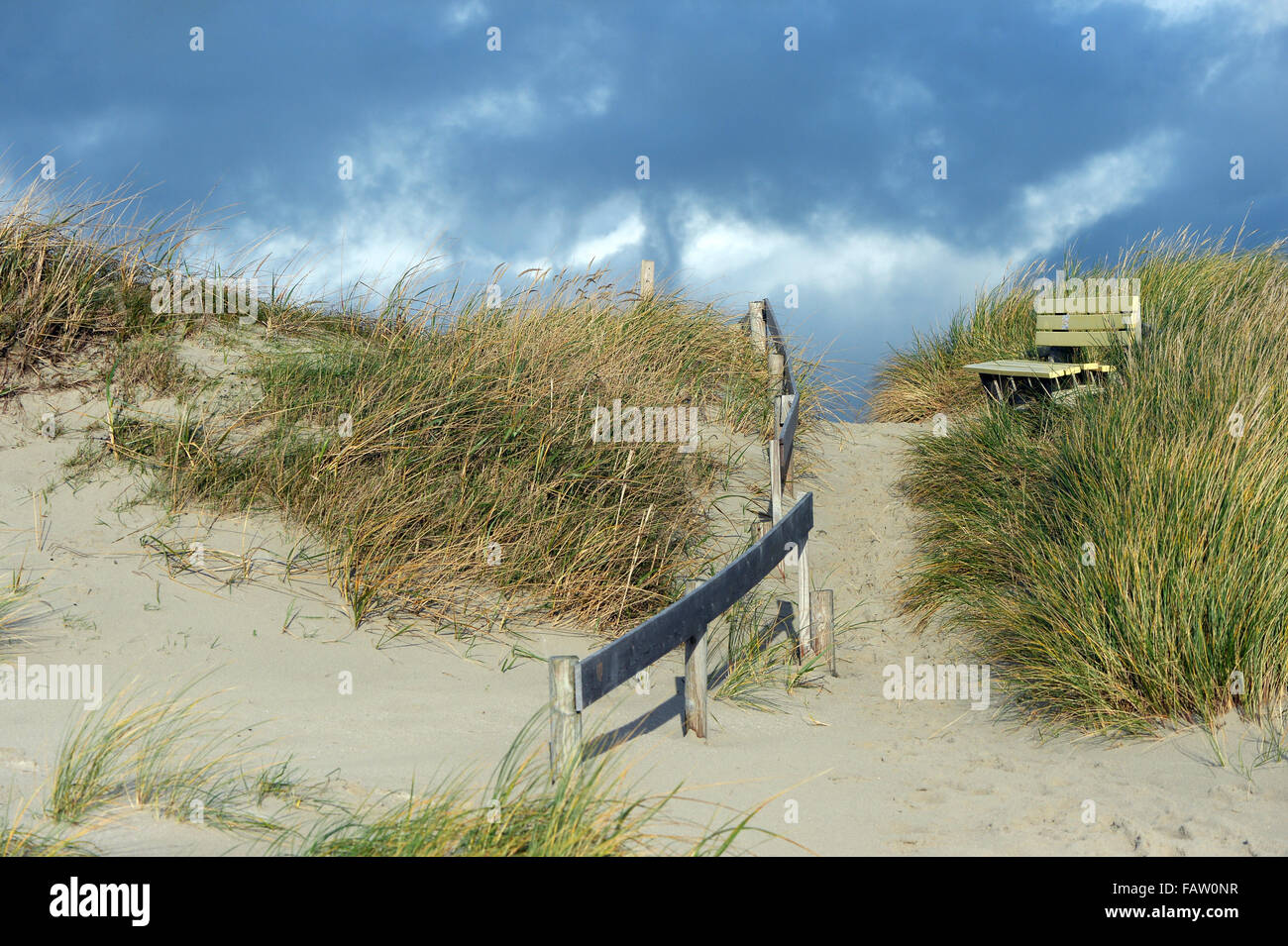 Ein Weg Zum Strand Durch Die Dunen Mit Einer Bank In Nieblum Auf Fohr Insel Schleswig Holstein Deutschland 17 November 2015 Strandhafer Wachst Auf Den Dunen Foto Jens Kalaene Kein Draht Dienst Stockfotografie