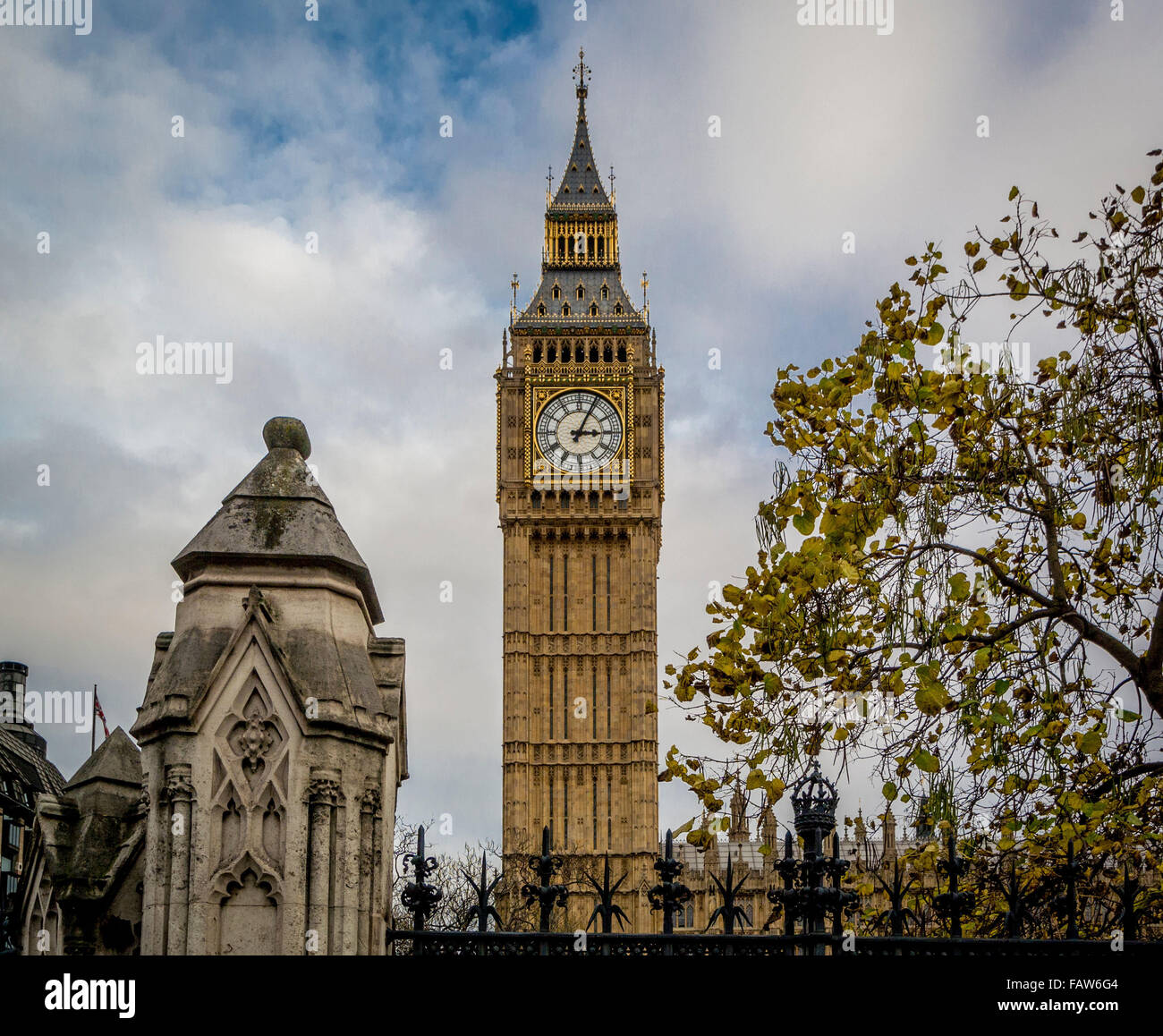 My Image 25