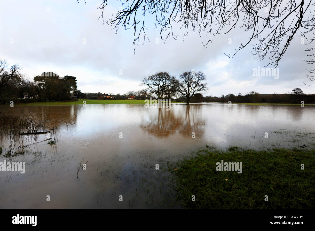 Hellingly, Sussex, UK. 5. Januar 2016. Bäume spiegeln sich im überfluteten Felder in dem kleinen Dorf Hellingly nördlich von Hailsham in East Sussex, wo die Environment Agency Flut Warnungen Credit erteilt: Simon Dack/Alamy Live News Stockfoto