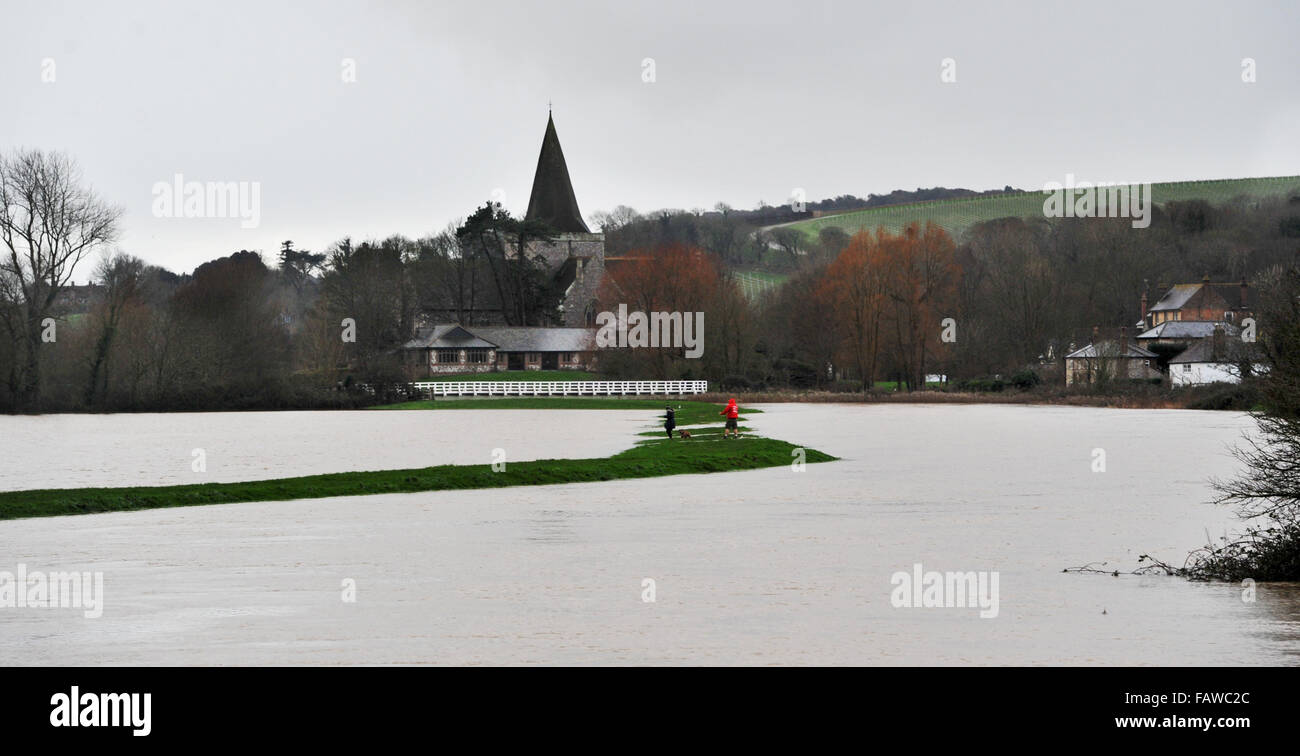 Touristenort, Sussex, UK. 5. Januar 2016. Hund Wanderer auf einer schmalen Bank zwischen den Überschwemmungen im Touristenort in East Sussex, wo der Fluß Cuckmere seinen Ufern geplatzt ist. Die Wettervorhersage ist bei starkem Regen fallen in den nächsten 12 Stunden im Bereich verursacht mehr Probleme Kredit weiter: Simon Dack/Alamy Live News Stockfoto