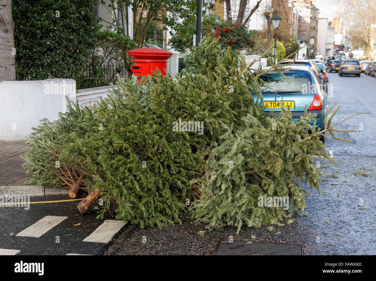 Ausrangierte Weihnachtsbäume links in die Straße, London England Vereinigtes Königreich UK Stockfoto