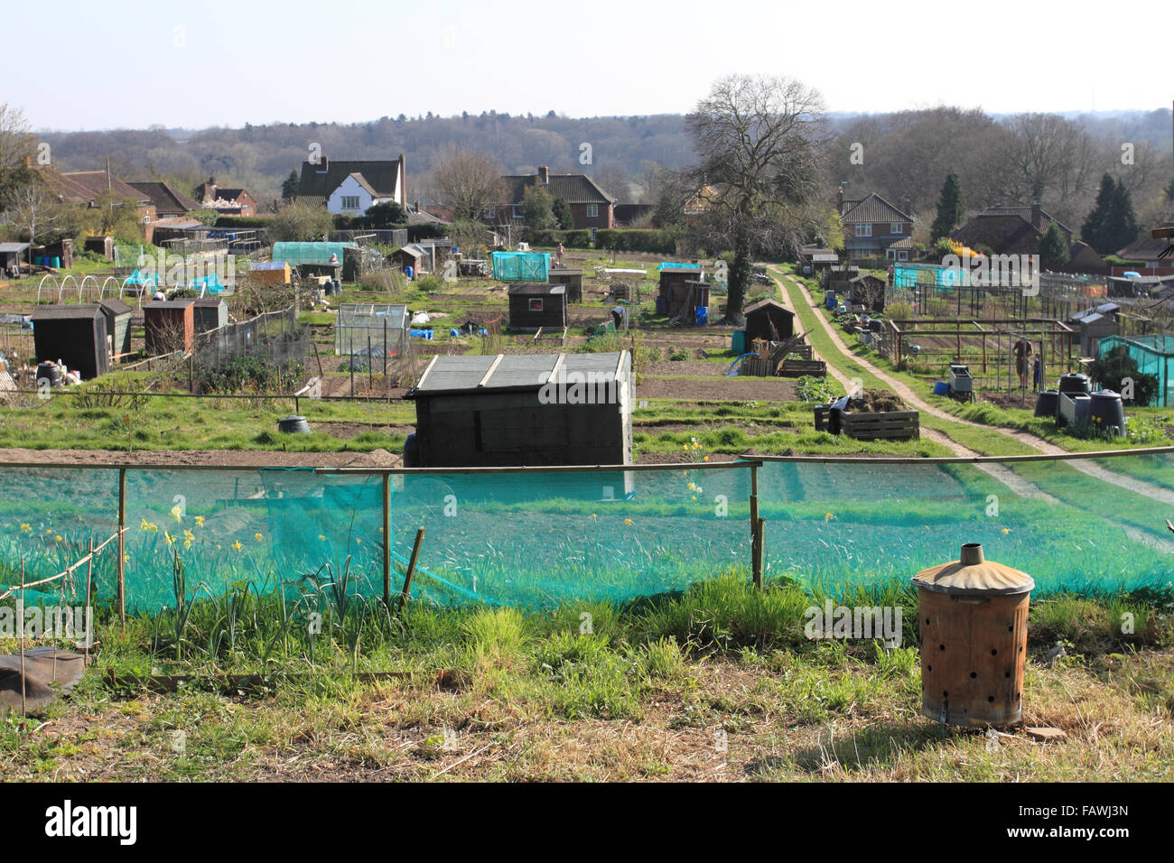 Zuteilung in Norwich, Vorbereitung für die nächste Saison, Norfolk, Großbritannien Stockfoto