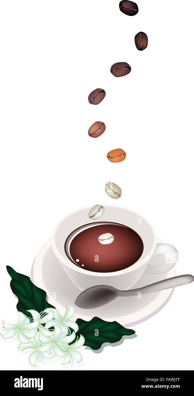 Kaffee-Zeit, der gerösteten Kaffeebohne fallen bis auf eine Tasse heißen Kaffee mit Kaffee Blume Stock Vektor