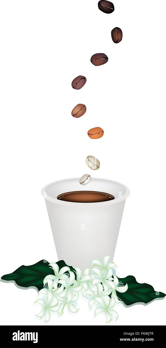 Kaffee-Zeit, der gerösteten Kaffeebohne fallen bis auf eine Tasse Kaffee mit Kaffee Blume mitnehmen Stock Vektor