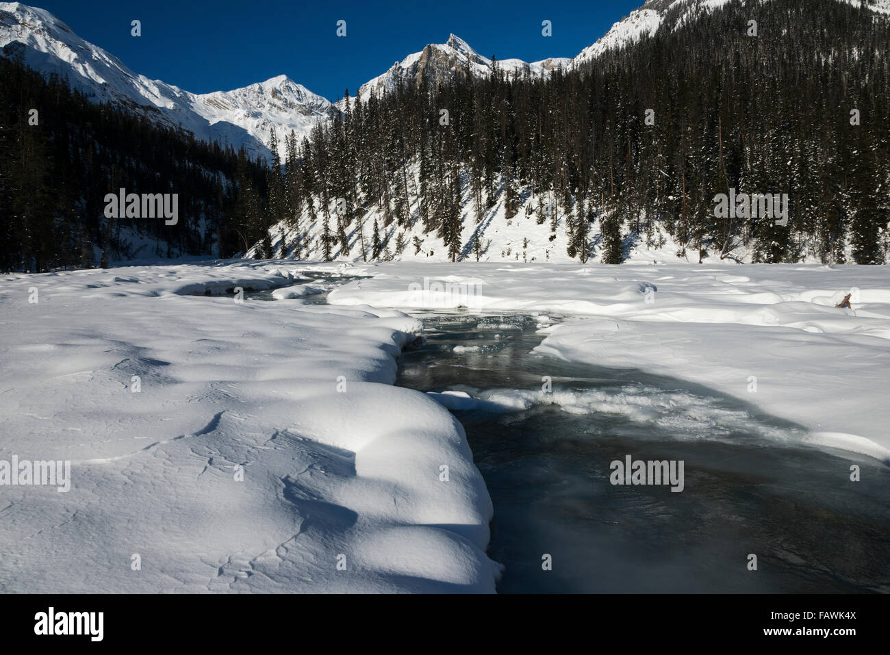 Wasser fließt unter den schmelzenden Schnee und die kanadischen Rocky Mountains, Yoho-Nationalpark; Field, Britisch-Kolumbien, Kanada Stockfoto