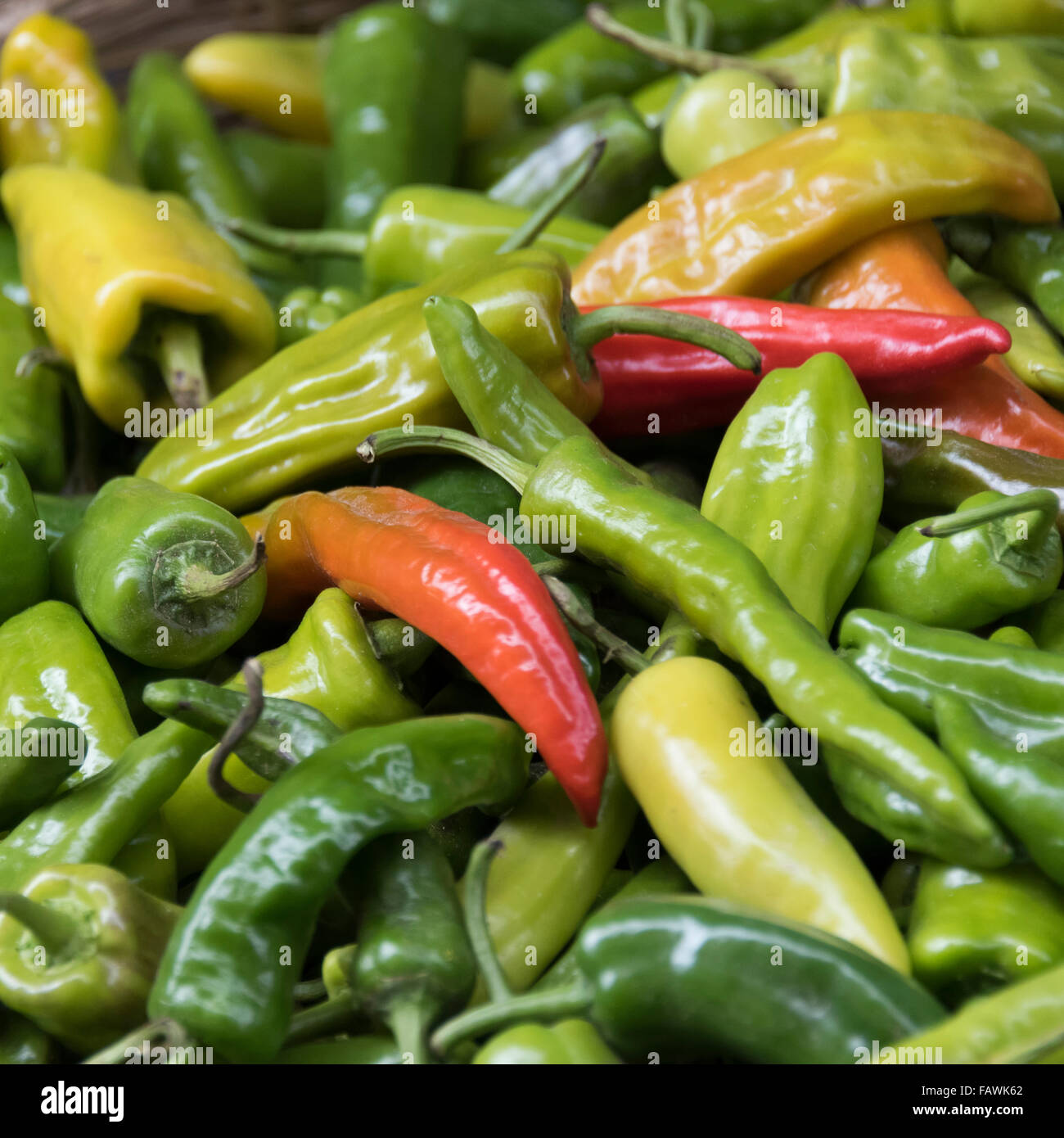Haufen von roter und grüner Paprika; Thimphu, Bhutan Stockfoto