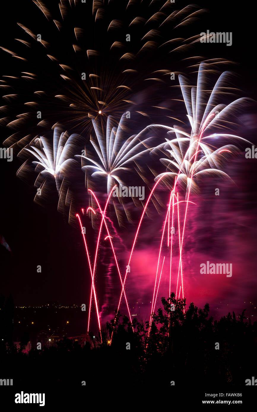 Buntes Feuerwerk in der Nacht; Calgary, Alberta, Kanada Stockfoto