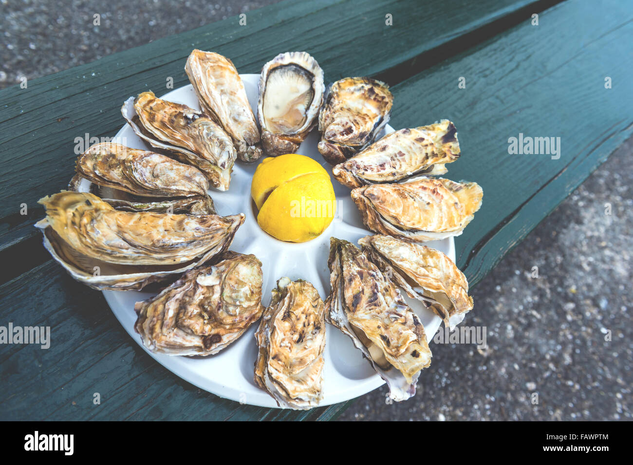 Ein Dutzend Austern und eine Zitrone auf eine Kunststoffplatte, Essen im Freien in der Nähe des Meeres Stockfoto