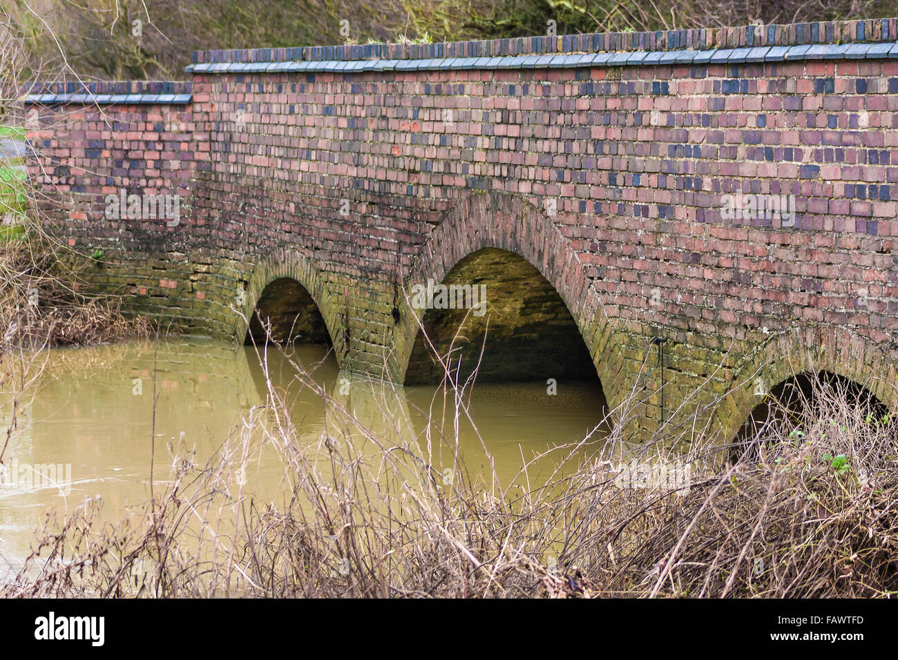 Felder bedeckt mit Wasser, nach der schweren Januar regnet machen das Leben schwer für die Landwirte ins Land zu kommen. Wasser in einem Bach zu seinen Ufern, fließt unter einer Brücke zu platzen Stockfoto