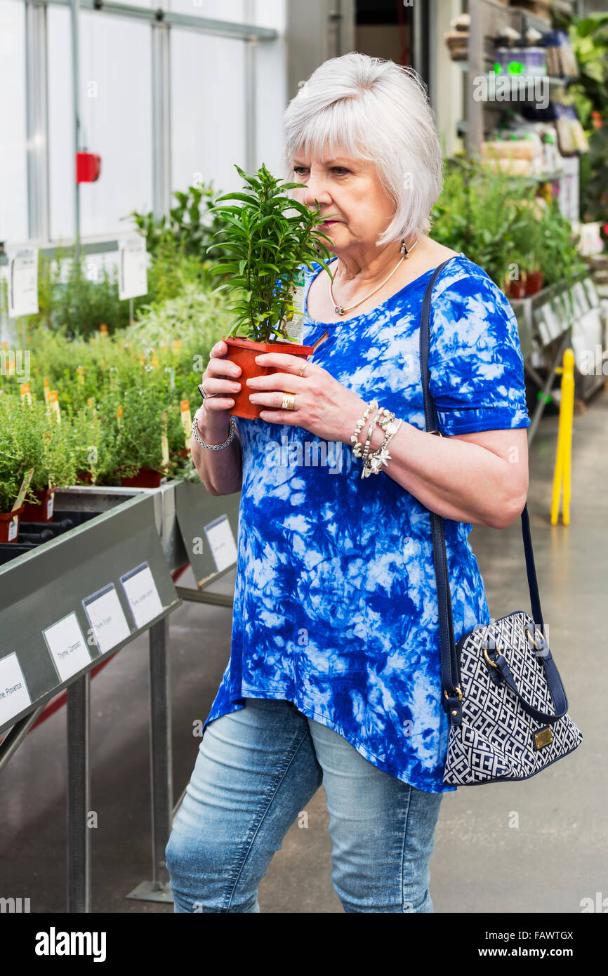 Reife Frau shopping für Pflanzen in einem Garten-Center in ein Einkaufszentrum; St. Albert, Alberta, Kanada Stockfoto