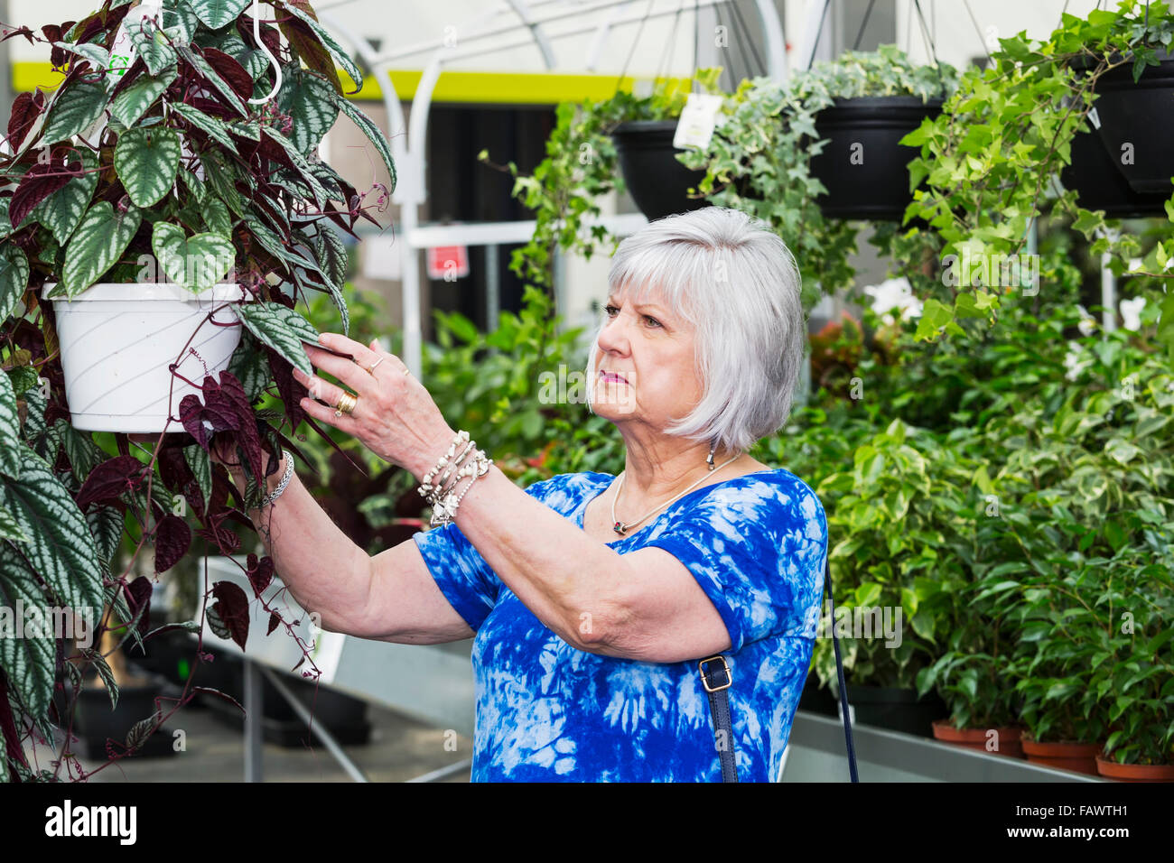 Reife Frau shopping für Pflanzen in einem Garten-Center in ein Einkaufszentrum; St. Albert, Alberta, Kanada Stockfoto