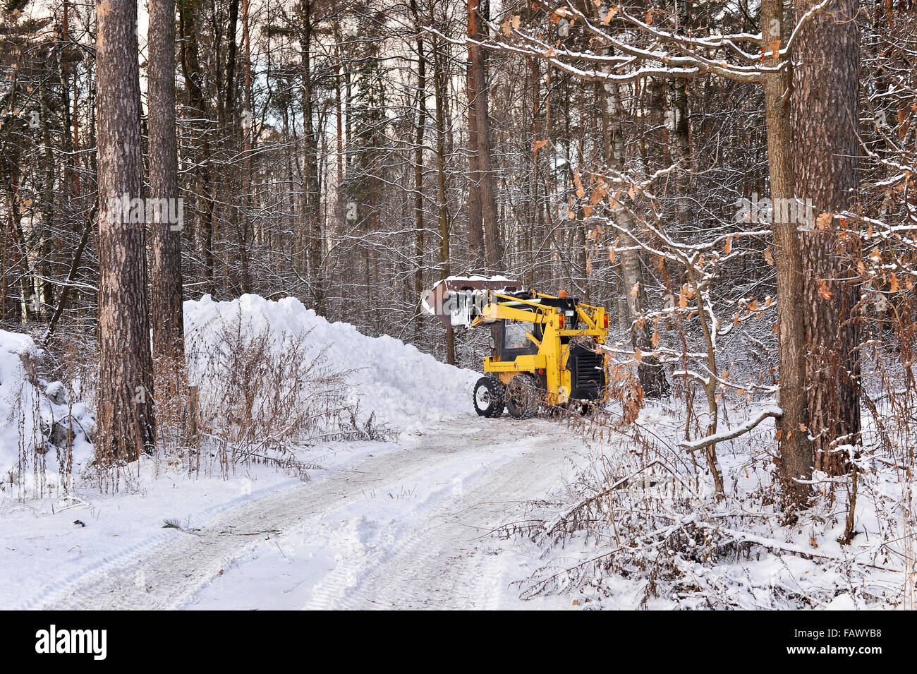 Der Traktor löscht Schnee von der Straße in den Wald Stockfoto