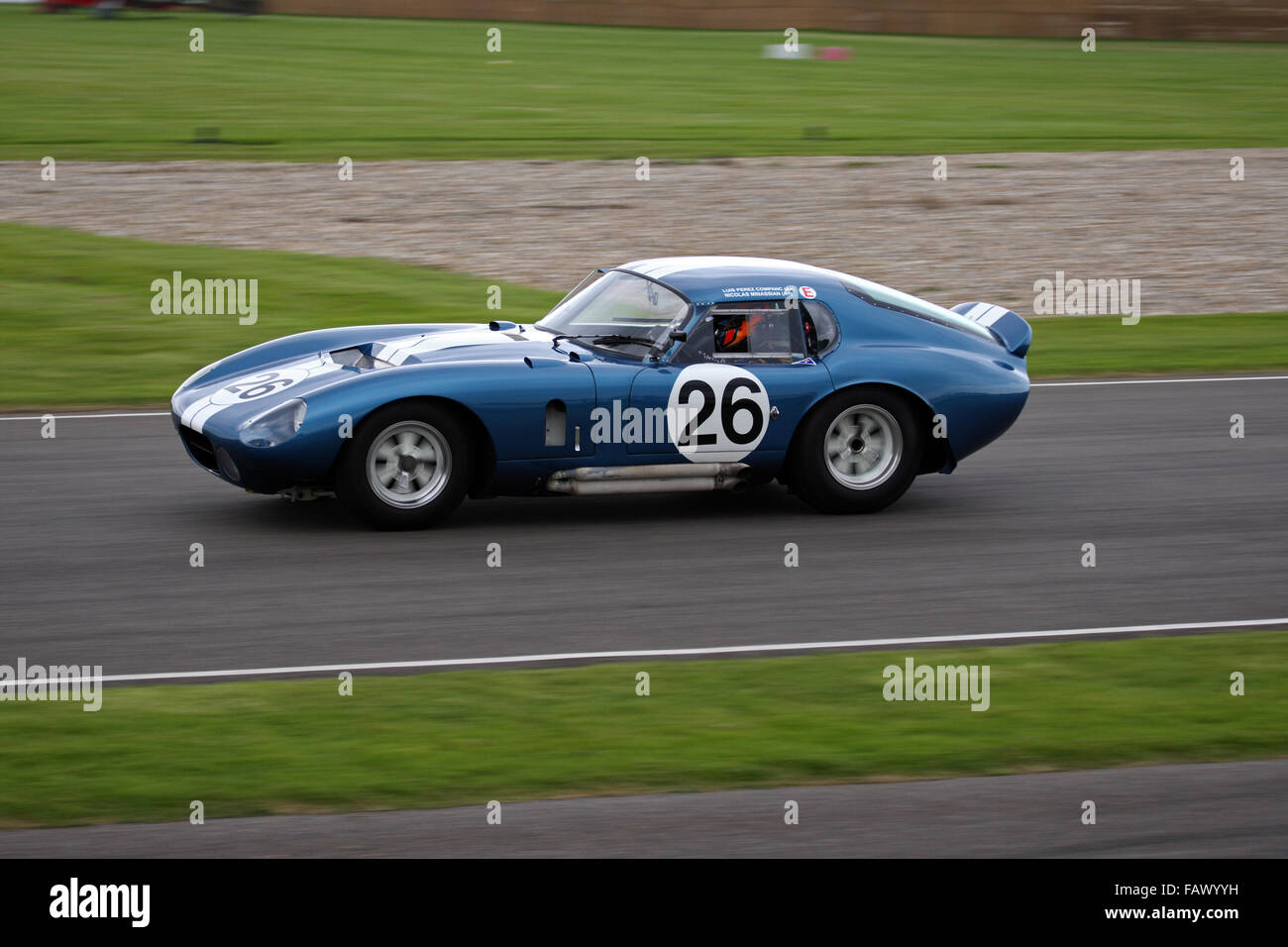 Shelby Cobra Daytona Coupe beim Goodwood Revival RAC TT Feier Rennen, N. Minassian & L. Perez Companc angetrieben. Stockfoto