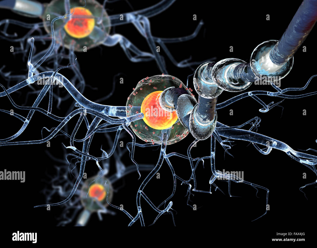 Hochwertige 3d Render von Nervenzellen, isoliert auf schwarzem Hintergrund, Konzept für neurologische Erkrankungen, Tumoren und Gehirn-Chirurgie. Stockfoto