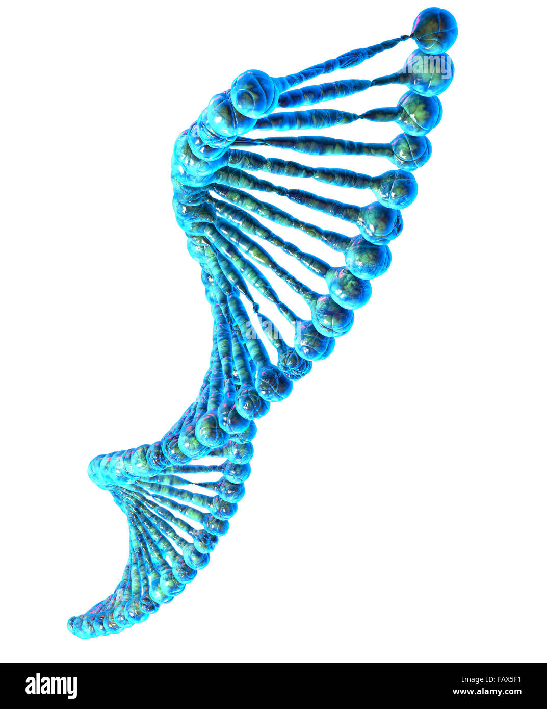 Hochauflösende 3d Render der menschlichen DNA-Zeichenfolge Stockfoto