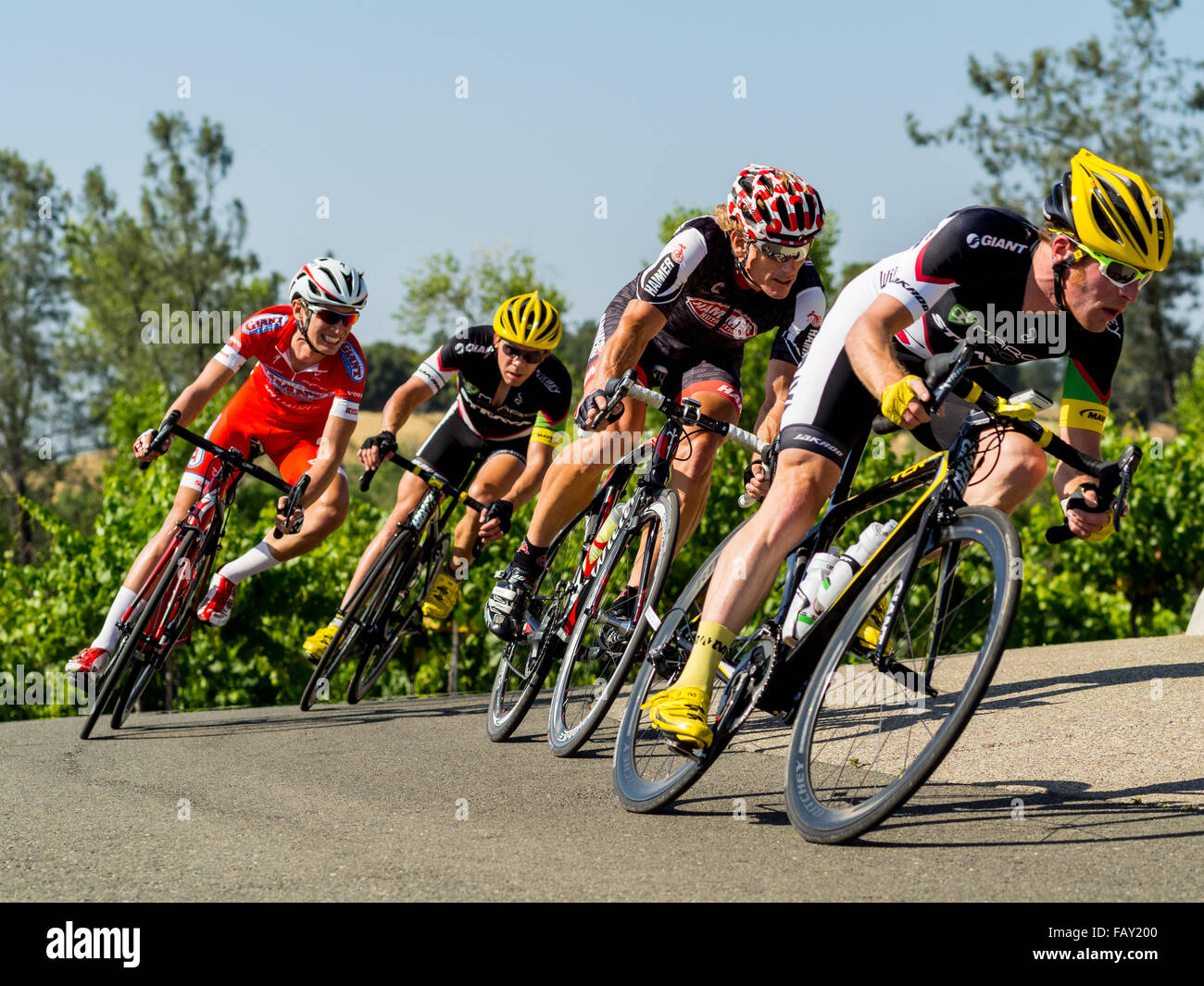 LOOMIS, CA, USA - 31. Mai 2014: Top Level Radfahrer konkurrieren bei der Men Pro/1/2 von der Sierra de Montserrat Circut-Rennen Stockfoto