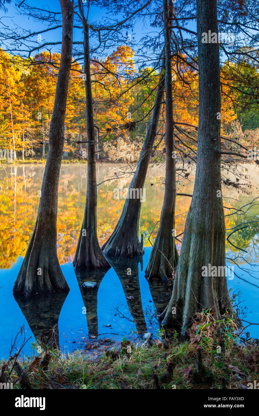 Beavers Bend State Park ist ein 1.300 Hektar State Park in der Nähe von