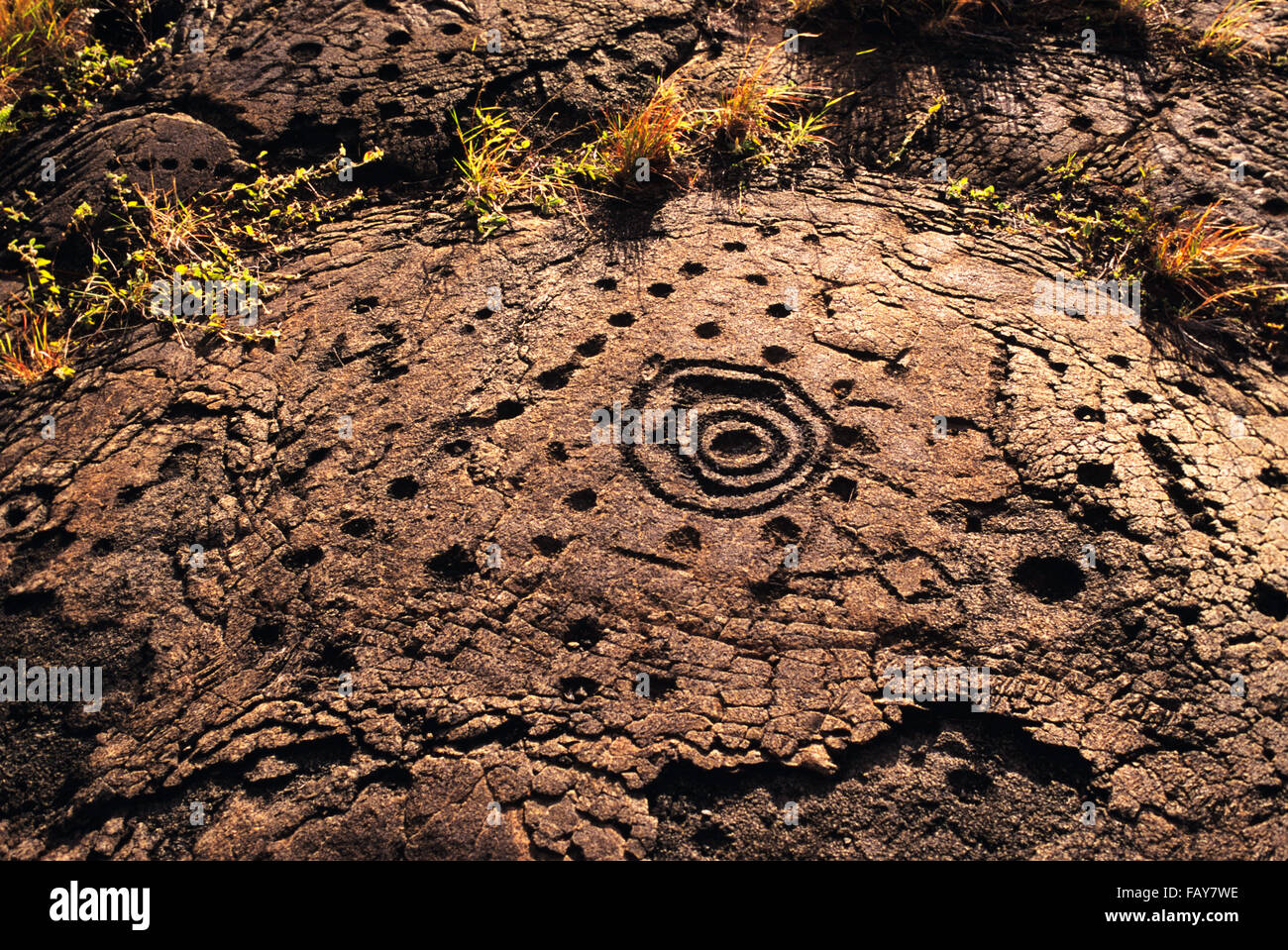 Big Island, Hawaii, Hawaii Volacoes Nationalpark, Pu'uloa Petroglyphen in der ahupua'a (Bodenordnung) von Panau Nui Stockfoto