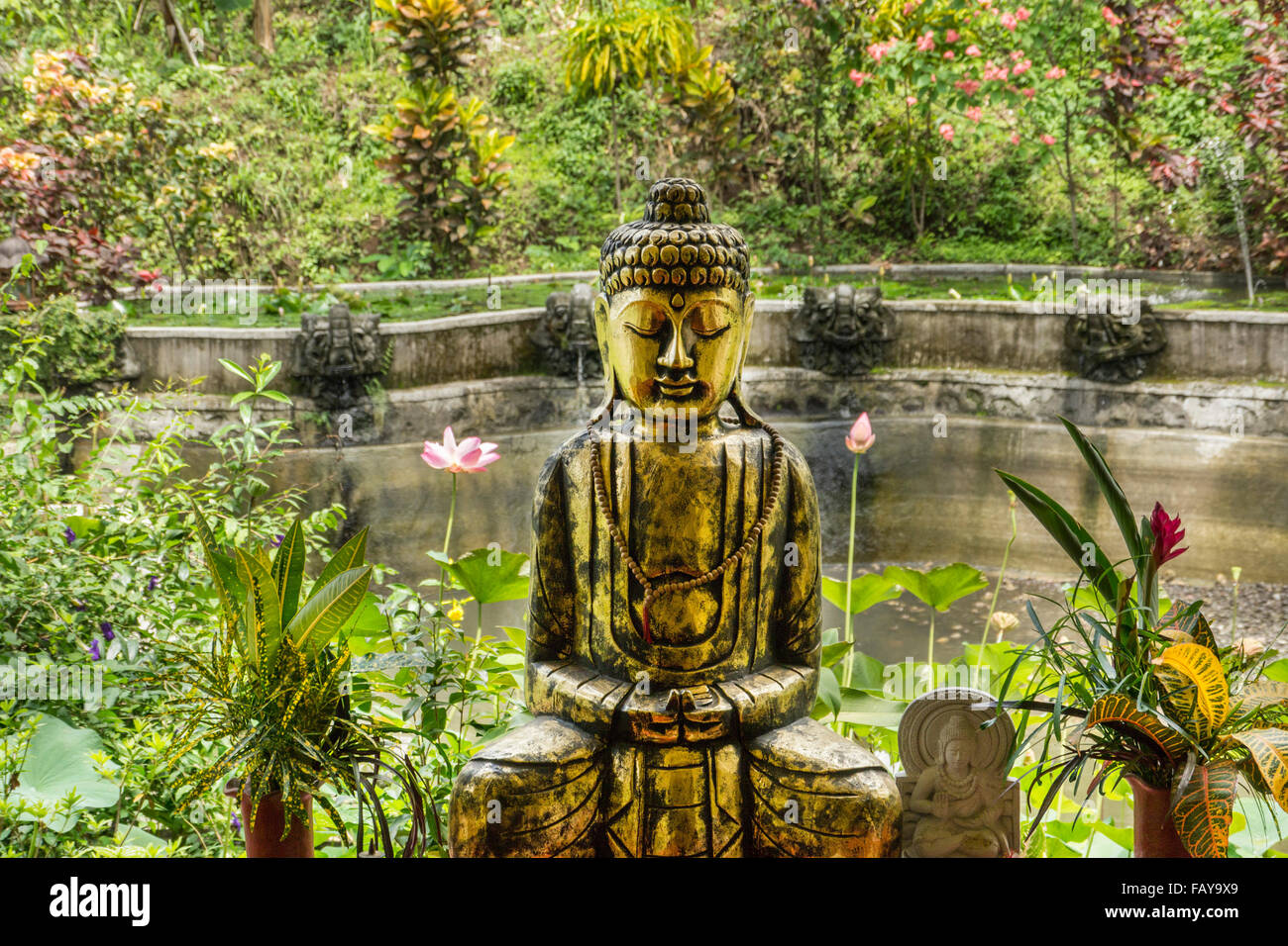 Tejakula, Indonesien, Bali, Buddha Statue und Lotus Blumen Stockfoto