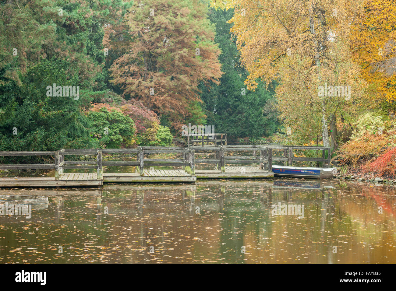 Einem ruhigen Teich, umgeben von bunten Herbst Bäume Stockfoto