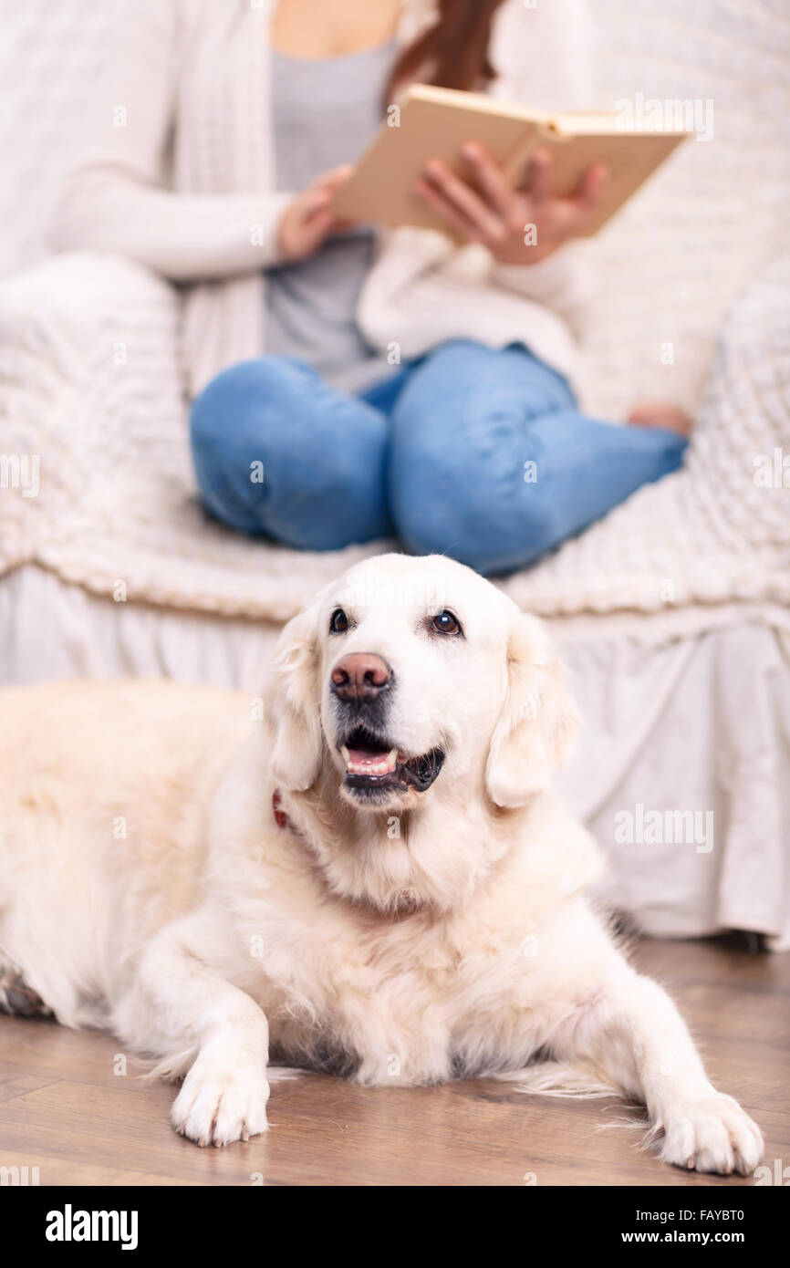 Niedlichen Hund auf dem Boden neben seinem Besitzer. Stockfoto