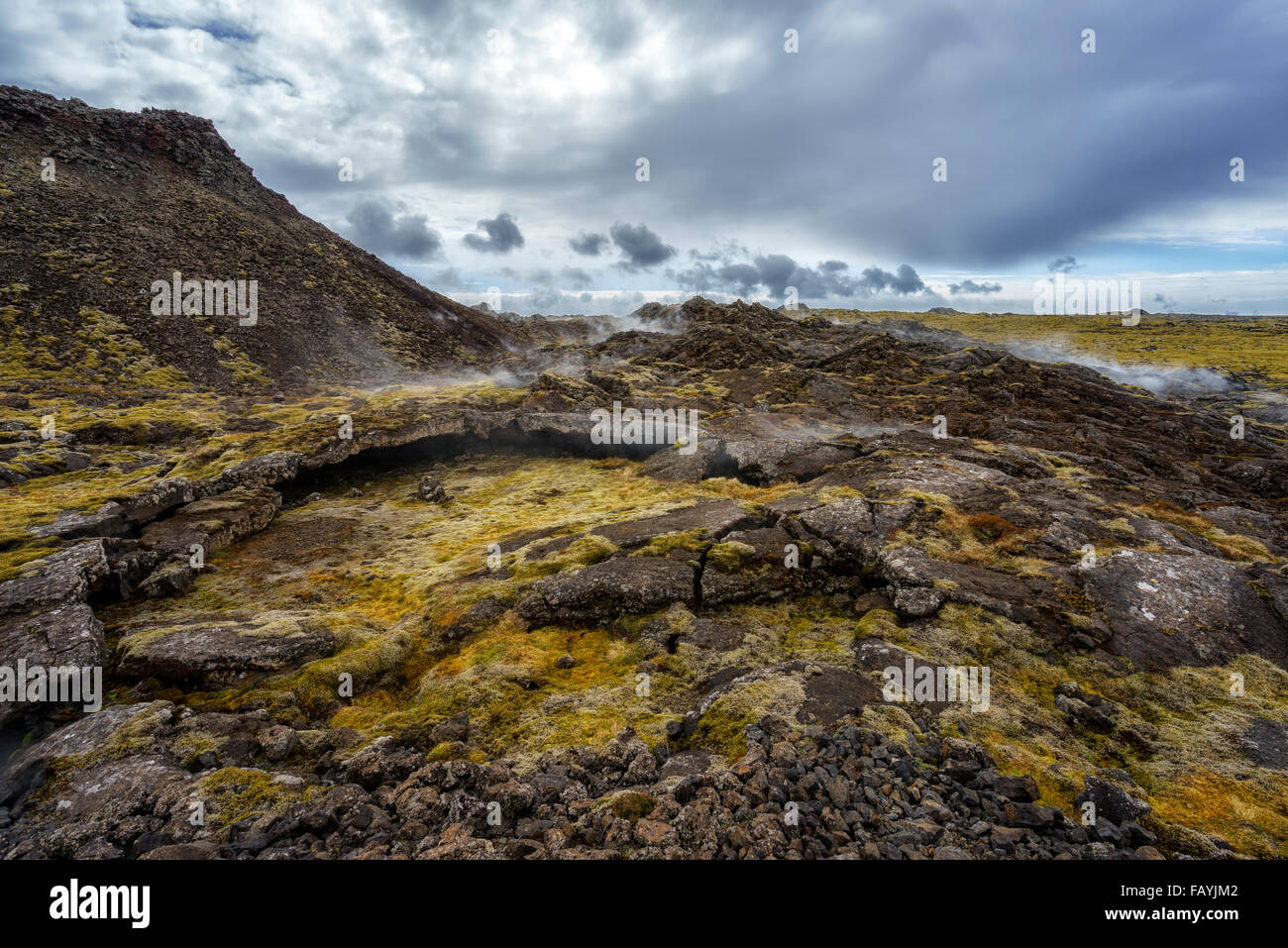 Lava und Moos Dämpfen in einer geothermischen Gebiet-Eldvorp, Halbinsel Reykjanes, Island Stockfoto