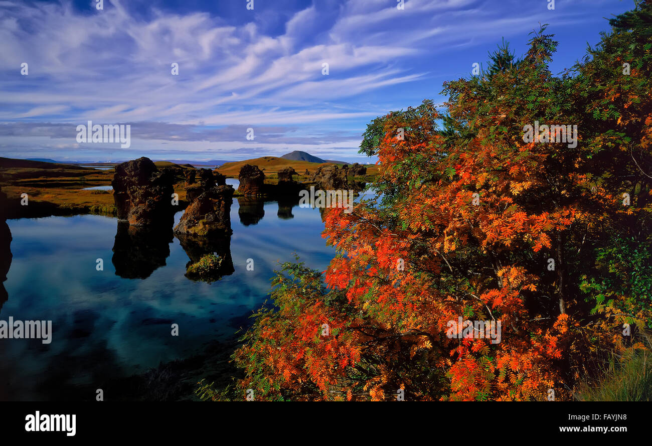 Herbst, See Myvatn, Island Stockfoto