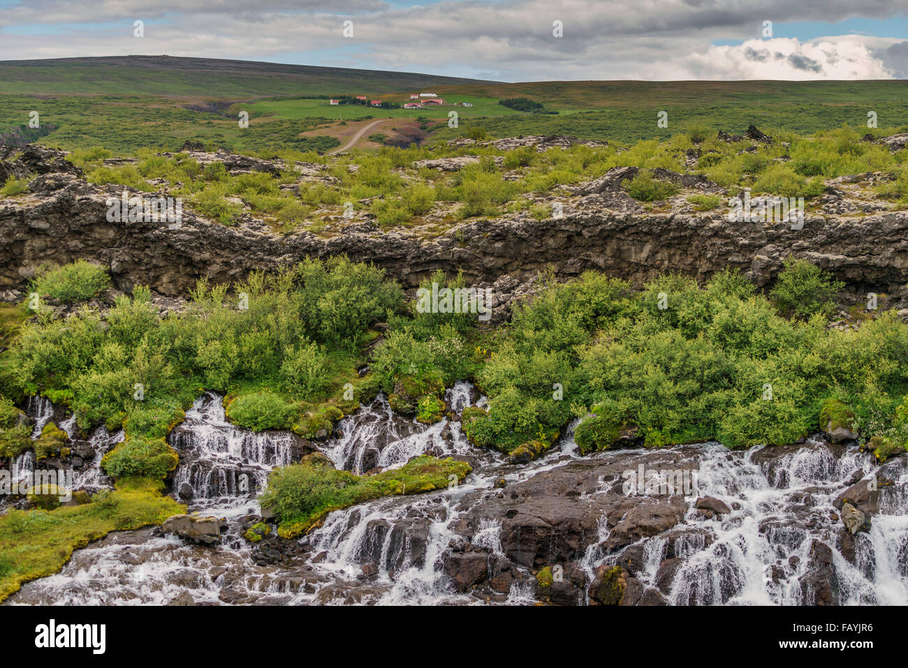 Hraunfossar Wasserfall, Borgarfjörður, Island Stockfoto