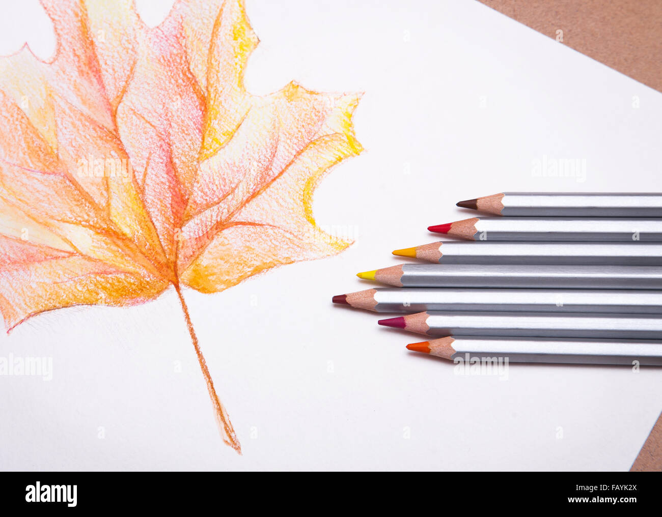 Roten detaillierte Ahorn Baum Blatt Stockfoto