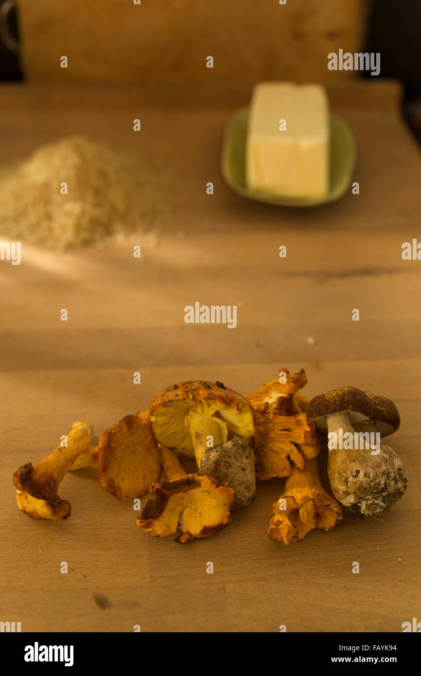 Wildpilz risotto -Fotos und -Bildmaterial in hoher Auflösung – Alamy Wildpilz risotto -Fotos und -Bildmaterial in hoher Auflösung – Alamy