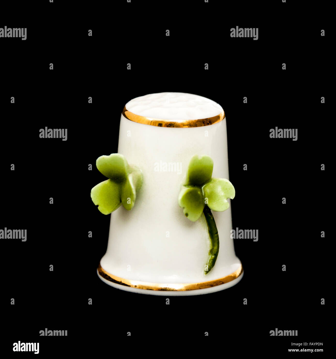 Birchcroft Porzellan Fingerhut - Handgefertigte Sammleredition 'Blume Des Monats Januar'