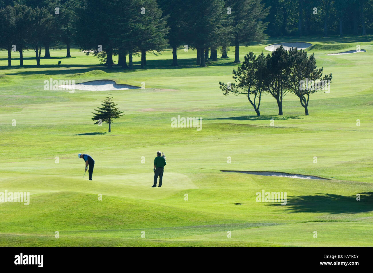Golfen auf Duff House Royal Golf Course - Banff, Aberdeenshire, Schottland. Stockfoto