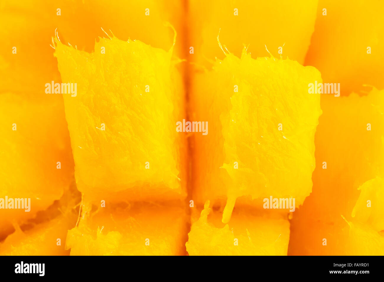 Mango-Nahaufnahme Stockfoto