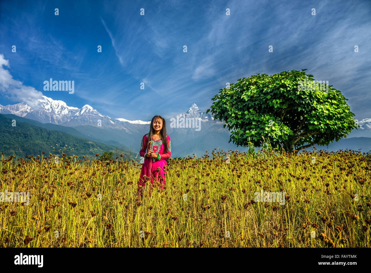 Junges Mädchen spielt auf einem Feld in den Himalaya-Bergen in der Nähe von Pokhara Stockfoto