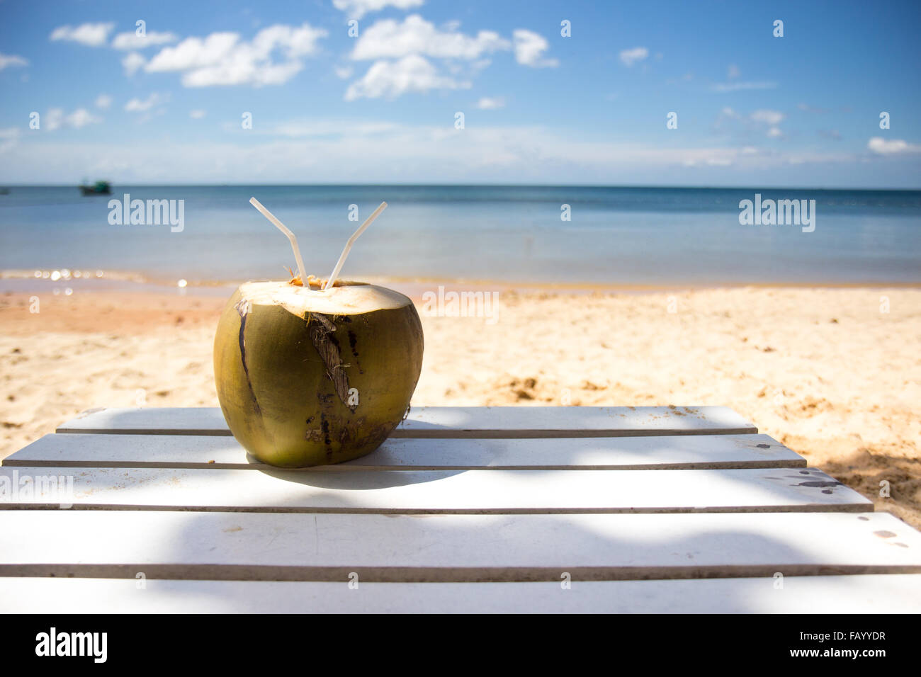 Grüne frische Kokosnuss am tropischen Strand Stockfoto