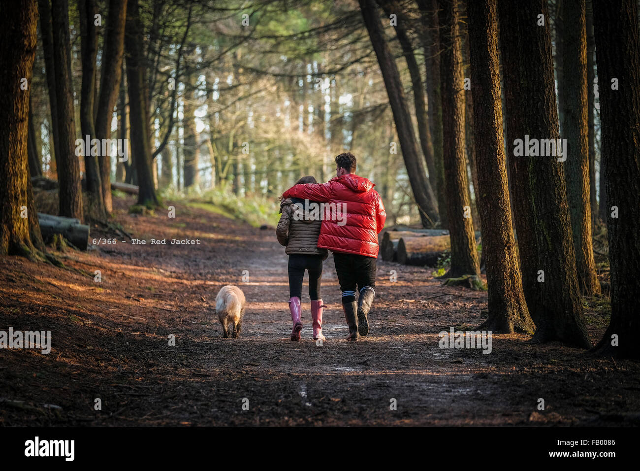 Mann mit den Arm um die Frau zu Fuß entlang Wald Weg mit Ihren Hund Stockfoto