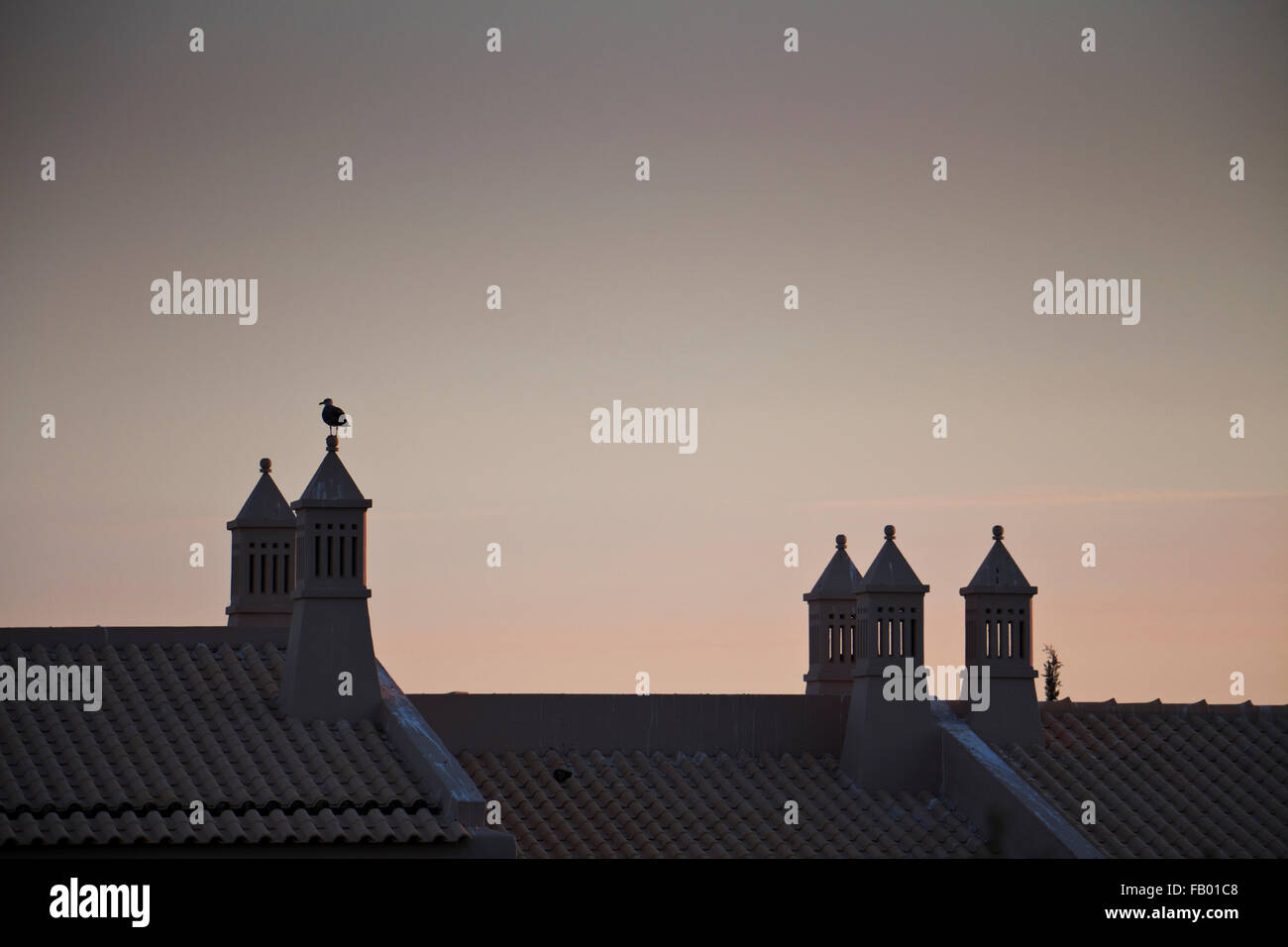 Schornsteine bei Sonnenuntergang an der Algarve, Portugal Stockfoto