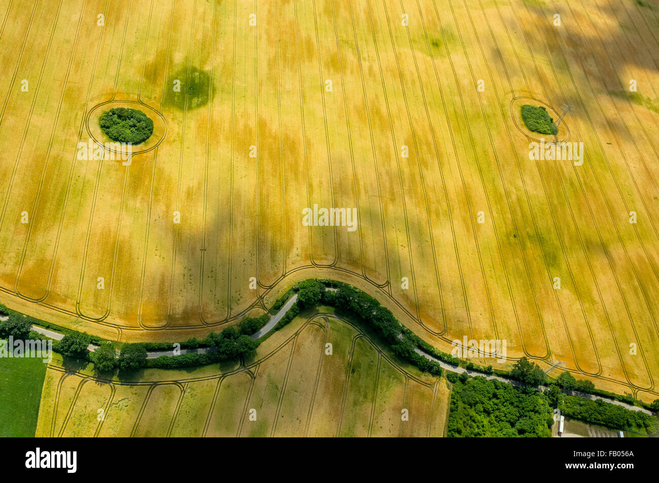 Kornfeld mit Bush Hecken in Form von einem Gesicht, Landwirtschaft, Bad Oldesloe, Schleswig-Holstein, Deutschland, Europa, Luftbild, Stockfoto