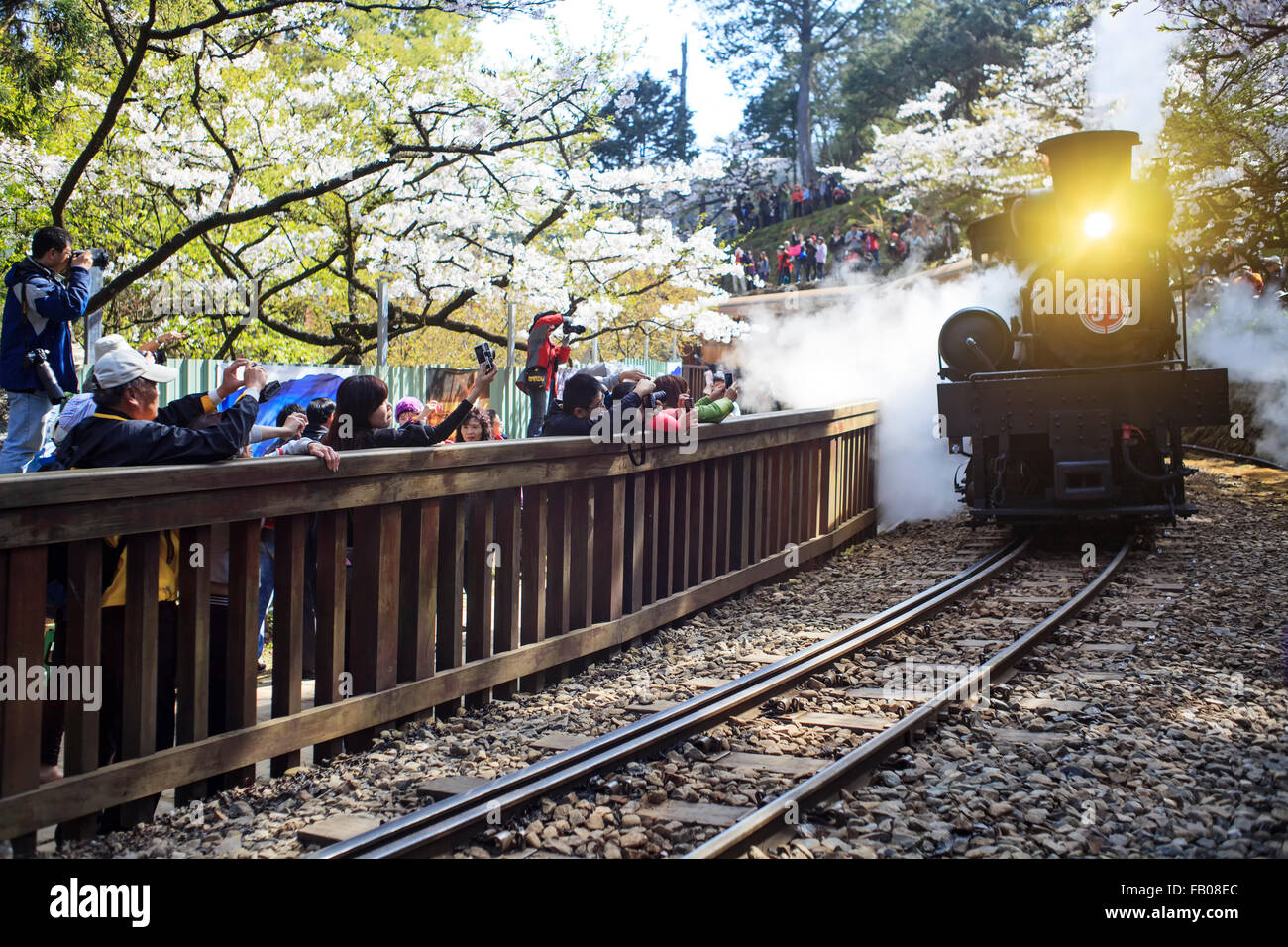 Alishan, Taiwan - März 15,2012: Alishan Waldbahn in Alishan National Scenic Area während der Frühjahrssaison. Menschen können gesehen expl Stockfoto